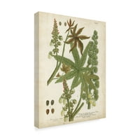 Трговска марка ликовна уметност „Вајнман тропски растенија I“ платно уметност од Јохан Вајнман