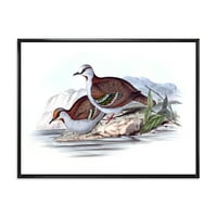 DesignArt 'Антички австралиски птици IX' Традиционална врамена платна wallидна уметност печатење