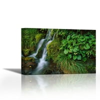 Водопад, Национален Парк Егмонт, Таранаки , Нов Зеланд-Современа Ликовна Уметност Гикли На Платно Галерија Завиткајте-ѕид декор-Уметничко