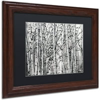 Трговска марка ликовна уметност Зимски аспекти платно уметност од Родерик Стивенс Црн Мат, рамка од дрво