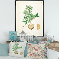 Дизајн на „Антички растителен живот x“ Фарма куќа врамена платно wallидна уметност печатење