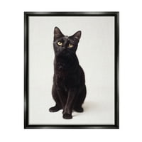 СТУПЕЛ ИНДУСТРИИ Симпатична црна мачка експресивни очи миленичиња портрет џет -црна врамена пловечка платно wallидна уметност,