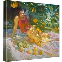 Слики, испрскана светлина, 20x20, украсна wallидна уметност на платно