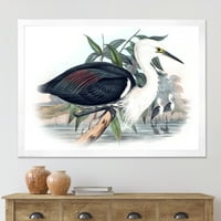 ДИЗАЈНАРТ „Антички птици на Австралија“ Традиционално врамен уметнички печати